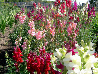 Similar image 21782373