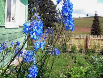 Similar image 21782374