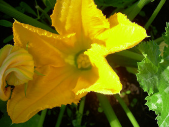 Similar image 21782375