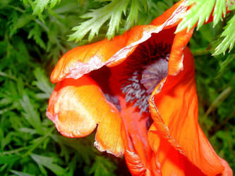 Similar image 21782376