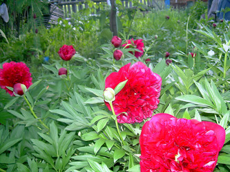 Similar image 21782377