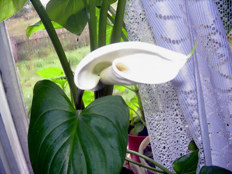 Similar image 21782378