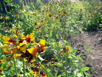 Similar image 21782379