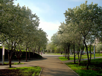 Similar image 21782526