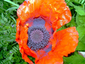 Similar image 21782527