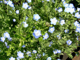 Similar image 21782529