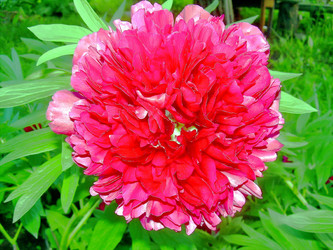 Similar image 21782532