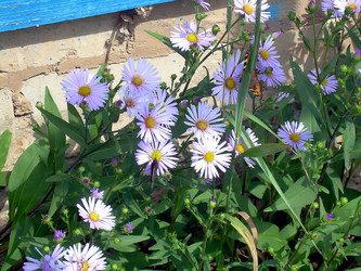 Similar image 21782533