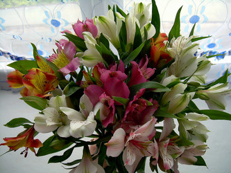 Similar image 21782535