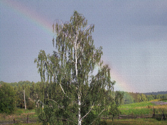 Similar image 21782537