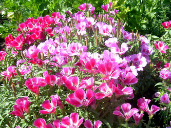 Similar image 21782539