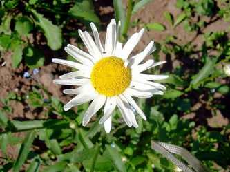 Similar image 21782540