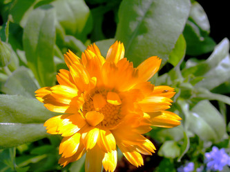 Similar image 21782541