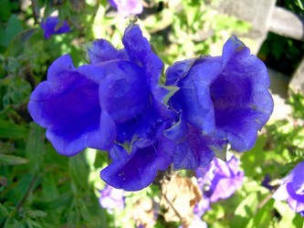 Similar image 21782542