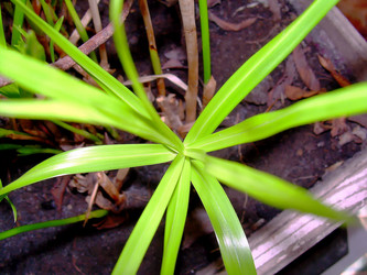 Similar image 21782543