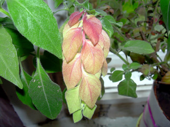 Similar image 21782545