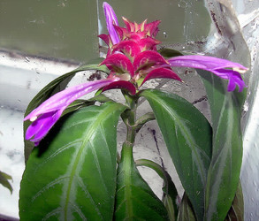 Similar image 21782546