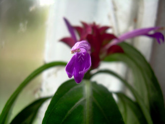 Similar image 21782547