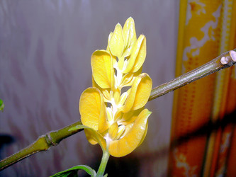 Similar image 21782548