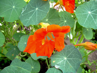 Similar image 21782317