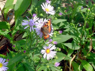 Similar image 21782318