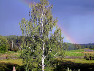 Similar image 21782321