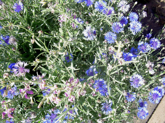 Similar image 21782322