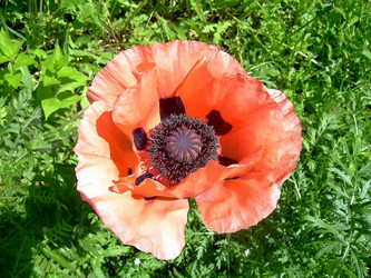 Similar image 21782323