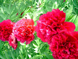 Similar image 21782324