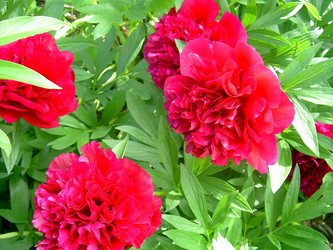 Similar image 21782325