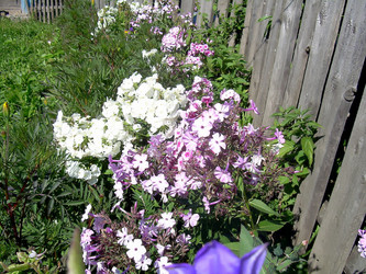 Similar image 21782326