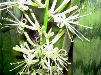 Similar image 21782327