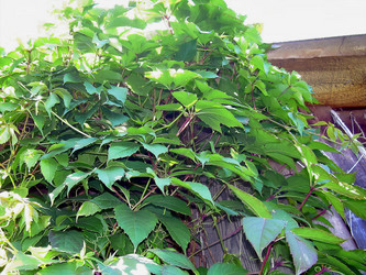 Similar image 21782328