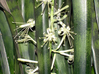 Similar image 21782329