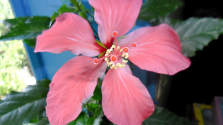 Similar image 21782330