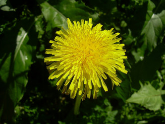 Similar image 21782334