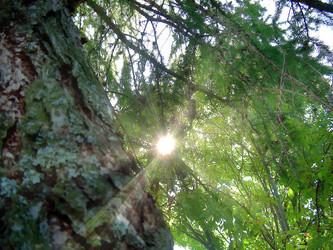 Similar image 21782338