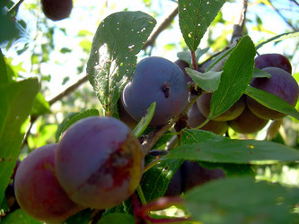 Similar image 21782339