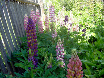 Similar image 21782380