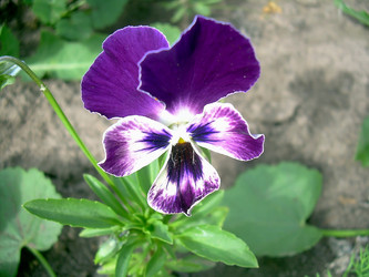 Similar image 21782382