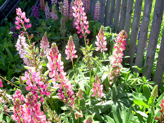 Similar image 21782383