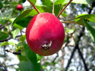 Similar image 21782384