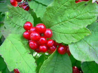 Similar image 21782385