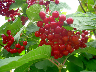 Similar image 21782386