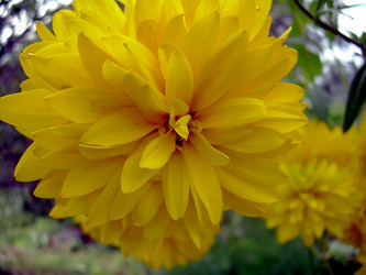 Similar image 21782387