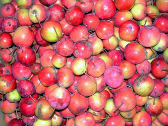 Similar image 21782388