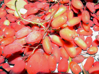 Similar image 21782389