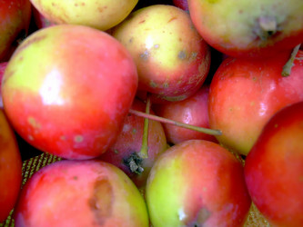 Similar image 21782390