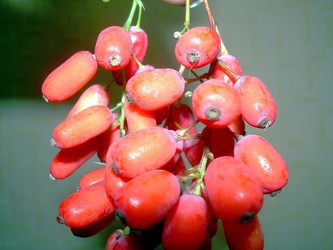 Similar image 21782391