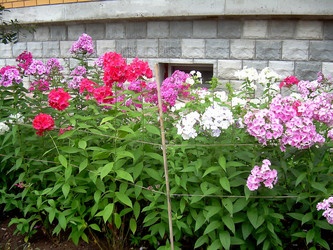 Similar image 21782392